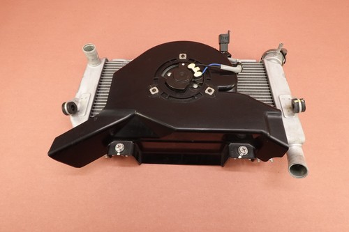 2024 2025 kawasaki ninja 500 - 2024-2025,