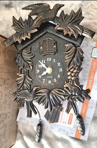 Vintage classic forest cuckoo - forest,