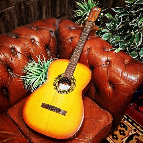 Eko studio parlour - guitar, rare