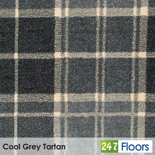Cool grey ng23 midas - ng23,