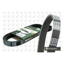 BGA Multi V-Ribbed Drive Belt