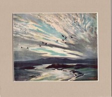 Peter Scott  ~ MALLARDS AND THE MOURNE MOUNTAINS ~ Original Genuine Print 1941