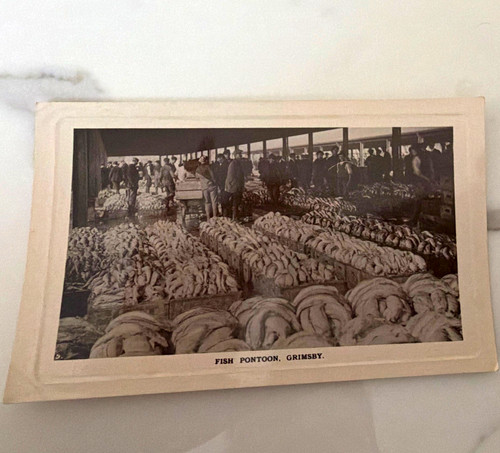 Real photo series - photo, rppc