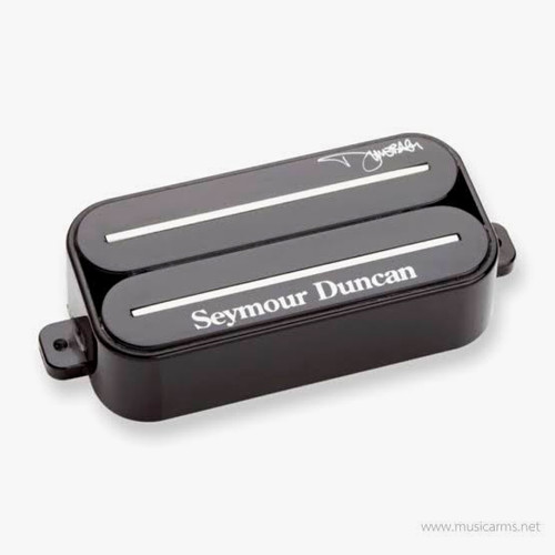 Seymour duncan black passive - duncan,