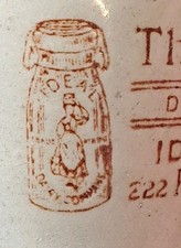 Superb Pictorial Small Sized