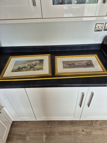Pair mick cawston - pair,