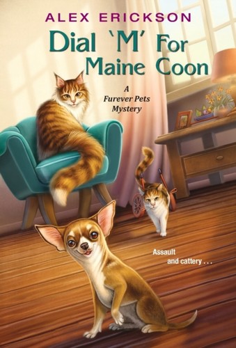 Dial for maine coon - dial,