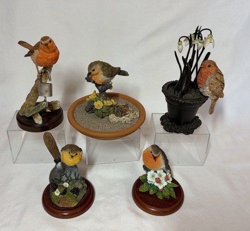 Bundle five robin bird - bundle,