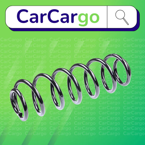 Rear suspension coil spring - rear,