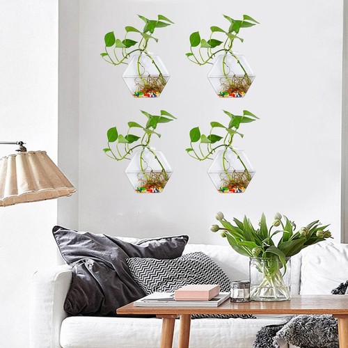 Glass flowerpot accessories - glass,