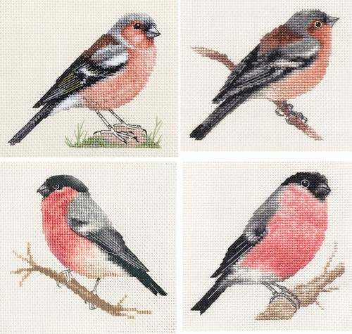 Chaffinch bullfinch bird full - bullfinch,