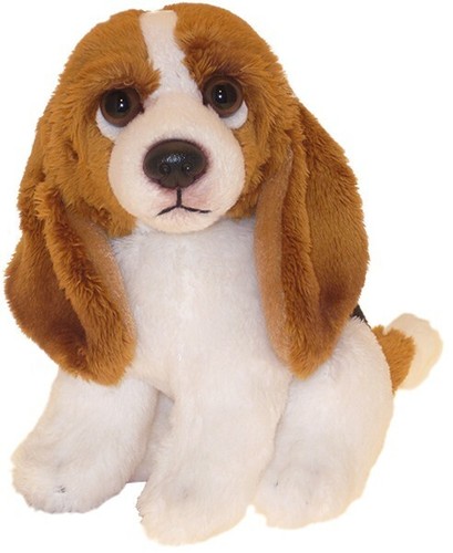 Basset hound teddy - teddy,