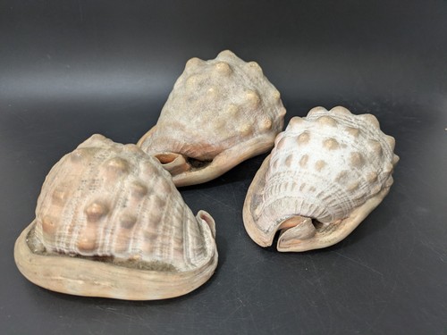 Set vintage horned helmet - set,
