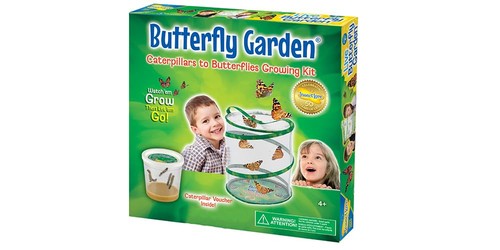 Insect lore butterfly garden - lore,