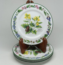 Royal Worcester Herbs Side