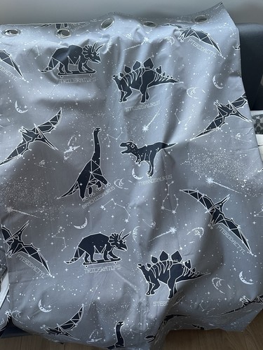 Kids dinosaur theme eyelet - theme,