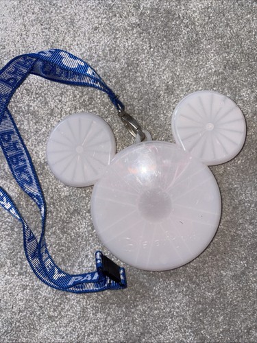 Disney parks flashing - flashing, mickey