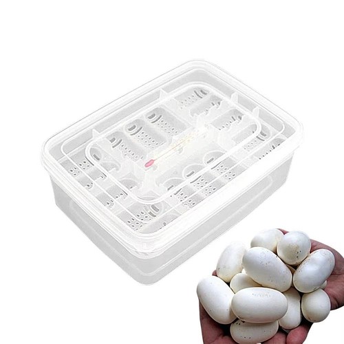 Reptile egg incubator - egg, diy