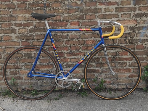 Rosa track bike campagnolo - rosa,