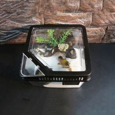 Spider Reptile Terrarium Tank