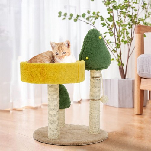 Kitten cat tree - tree, scratcher