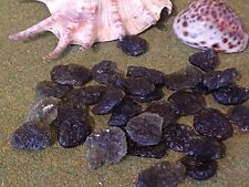 Moldavite Crystal 3 - 4g Channelling Spiritual Healing Mineral 100% Genuine (B1)