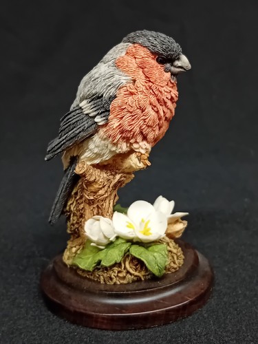 Country artists bullfinch - country, 'bullfinch'