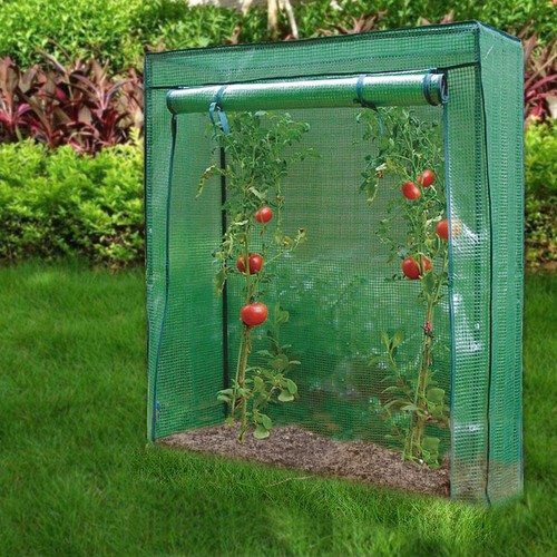 Tomato greenhouse reinforced - greenhouse,