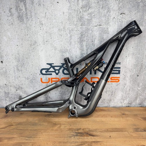 New 2024 specialized works - new!,