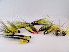 Salmon Fly Fishing. Spring