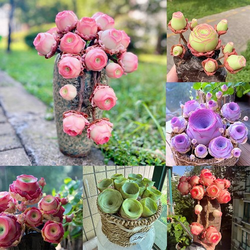 Mountain rose flower succulent - mountain,