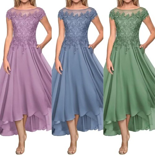 Elegant lace applique bride - lace,
