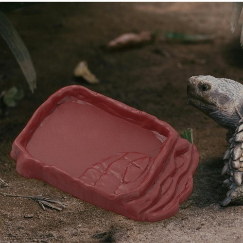 Reptile food bowl - reptile,