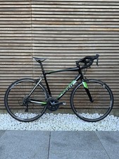 Giant Contend 1 Large Green