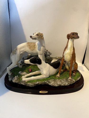 Large greyhound dogs - large,