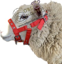 SHEEP GOAT HALTER HEADCOLLAR
