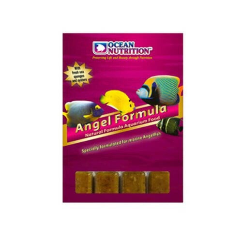 Ocean nutrition angel - angel, formula