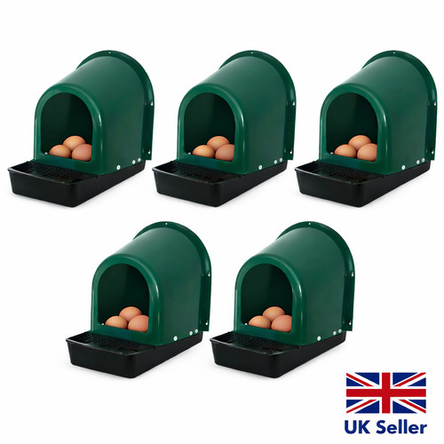 Chicken nest boxes - chicken,