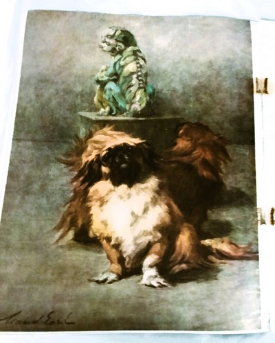 Pekingese art plate maud - art,