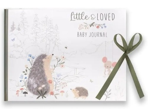 Baby milestone journal - baby,