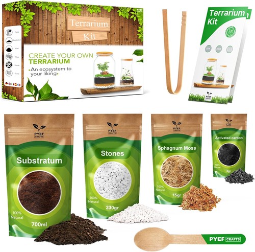 Diy terrarium kit for - kit, plants