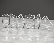 Personalised Glass Award Trophy Award Plaque, Various Trophies and New styles