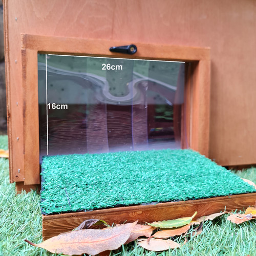 Massive insulated tortoise - massive,