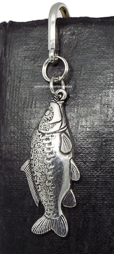 Mirror carp fish - mirror,