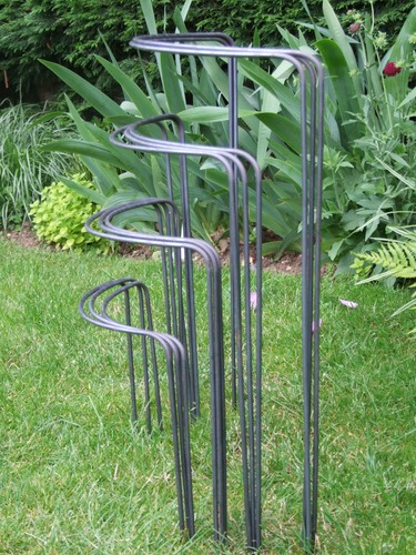 Plant supports naturally - plant,