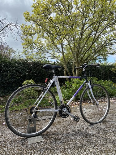 Raleigh pioneer spirit bike - pioneer,