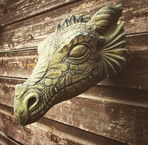 Wyvern dragon head - wall, plaque