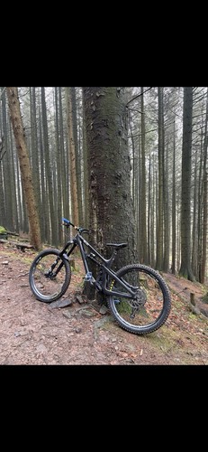 Yeti sb165 2021 - full, carbon