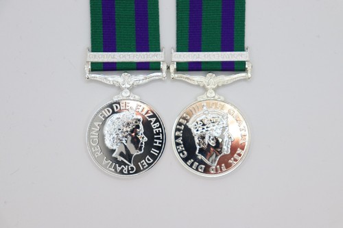 General service medal - service, global