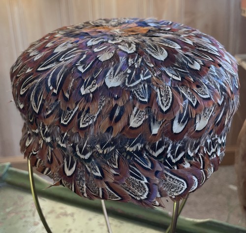 1950s pheasant feather - feather, women's